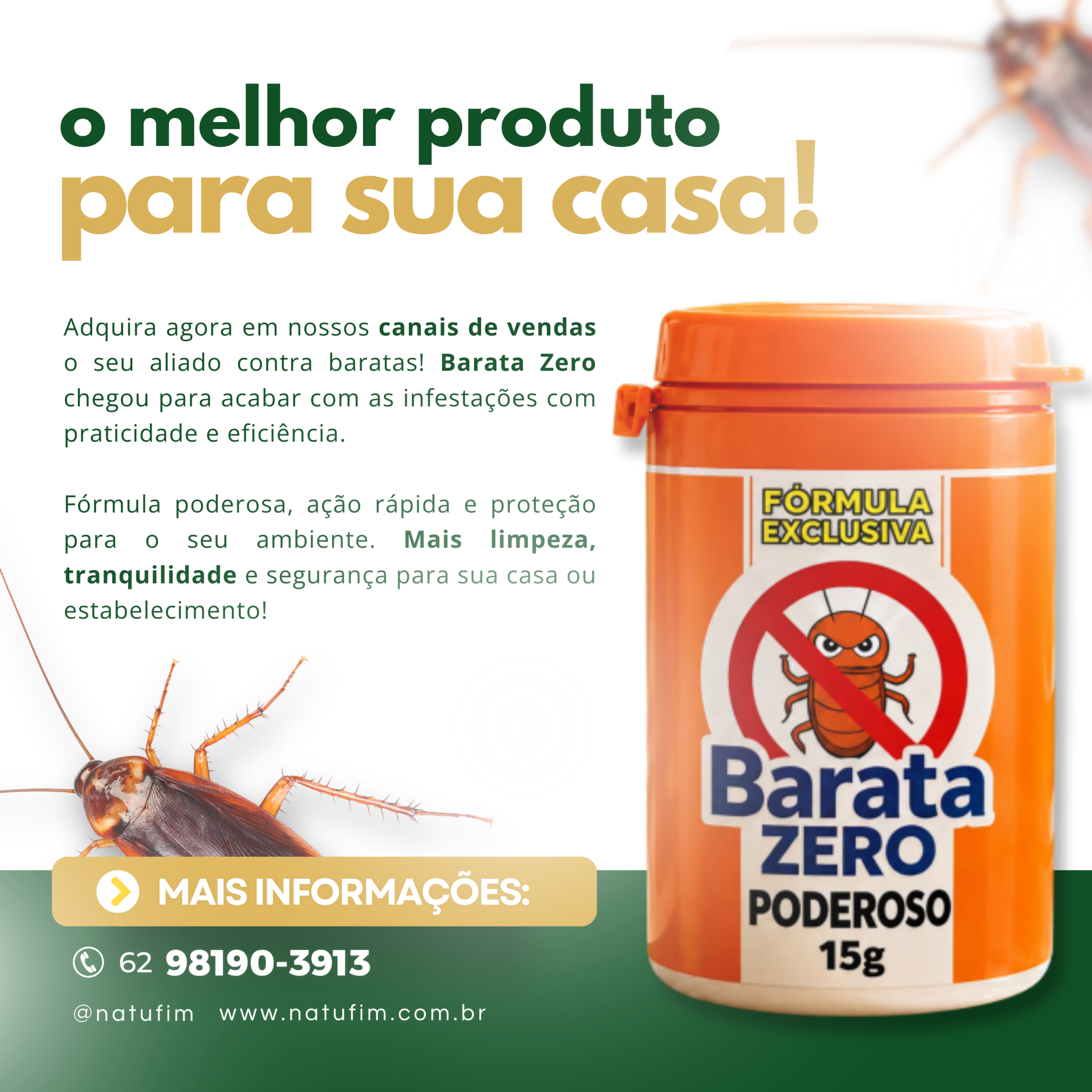 Post instagram dedetização ousado laranja